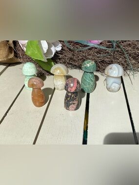 Crystal Mushroom Bundle